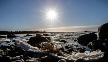 MEELDETULETUS ⟩ Andke hukkunud lindudest teada