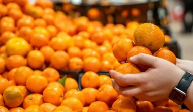 kas ma julgen neid enam süüa?