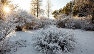 ILM TULEB HEITLIK ⟩ Eesootav nädal toob tuult, lörtsi ja päikest - Ilmajaam