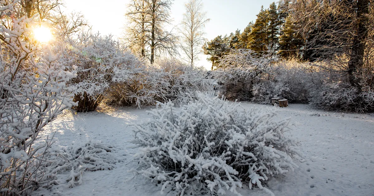 ILM TULEB HEITLIK ⟩ Eesootav nädal toob tuult, lörtsi ja päikest - Ilmajaam