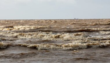 Kogu Eesti sai tugeva tuule hoiatuse - Ilmajaam