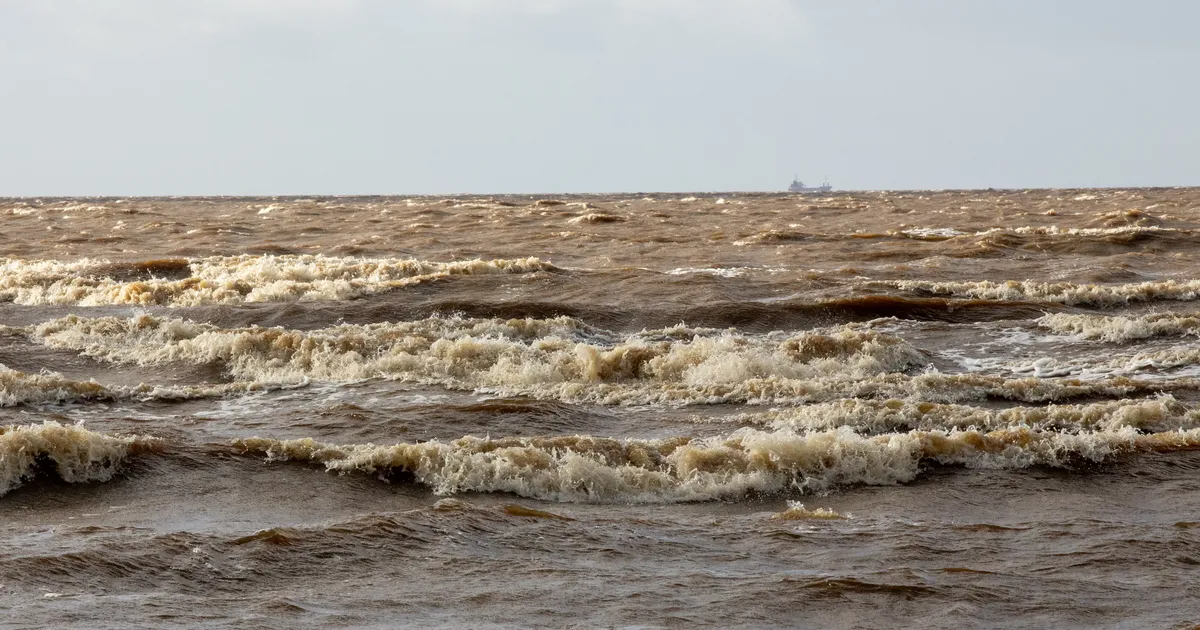 Kogu Eesti sai tugeva tuule hoiatuse - Ilmajaam