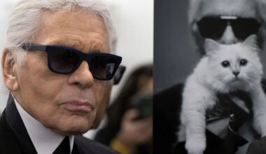 Lemmik, kes supleb luksuses! Karl Lagerfeld jättis oma kassile uskumatult suure päranduse