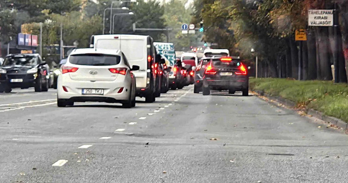 DORIS RAUDSEPP ⟩ Kas haavatavaim inimrühm on keskealised heal järjel olevad mehed, kellel on auto?