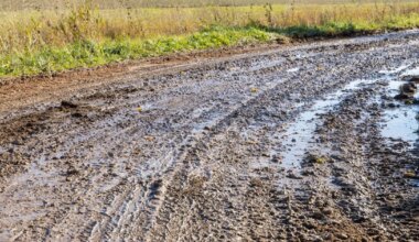 Võrumaalt koju Järvamaale sõitnud vanaproua jäi autoga mutta kinni