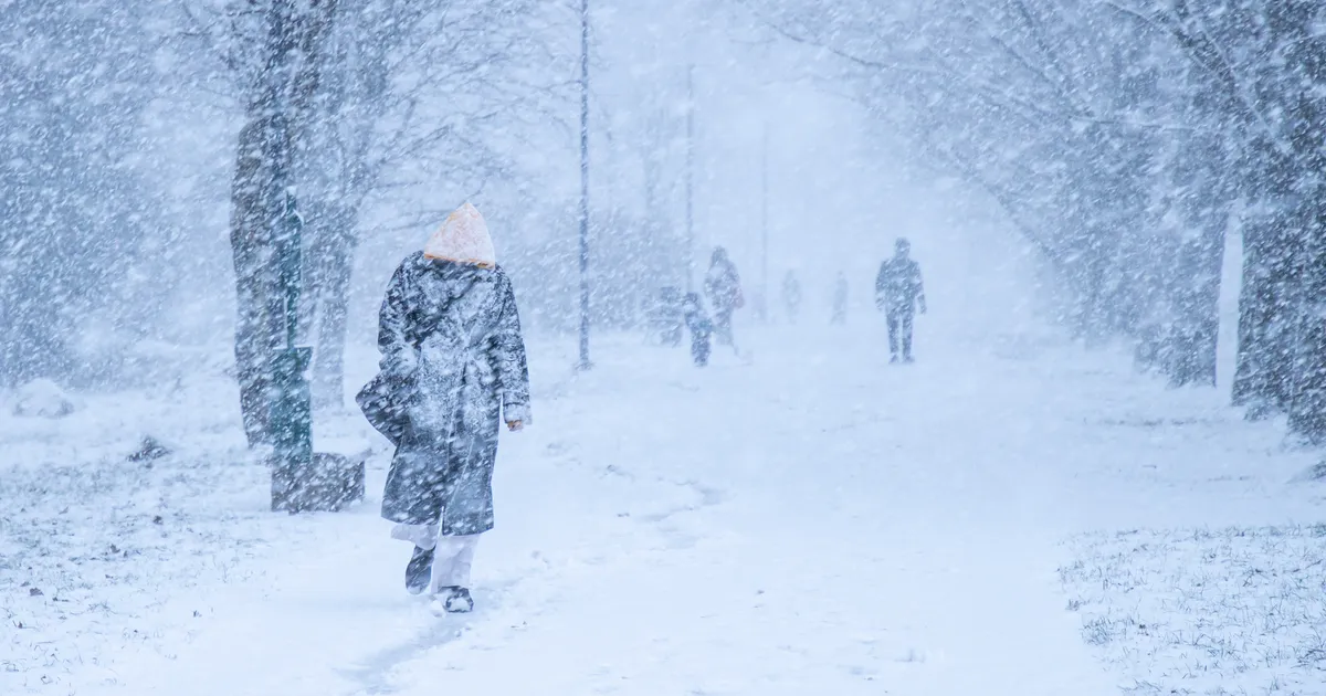 Türil sadas maha korralik lumevaip - Järva Teataja