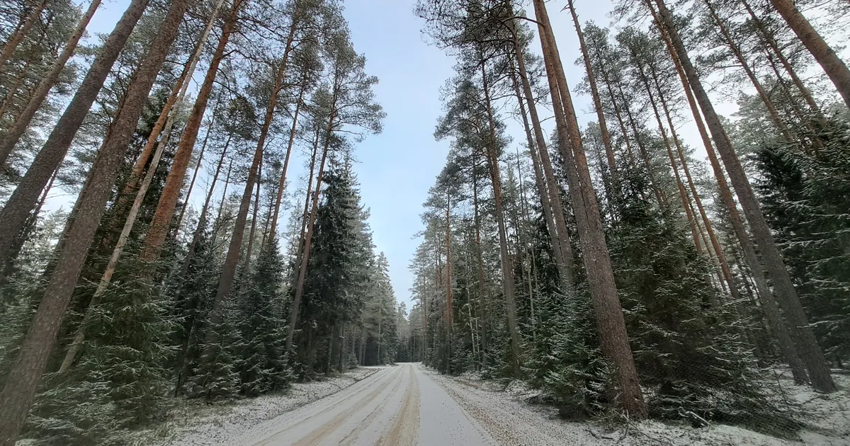 Transpordiamet: teedel suureneb libeduseoht - Postimees