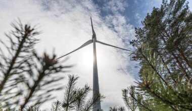 mille arvelt kerkivad riiklikult planeeritud tuulikud?