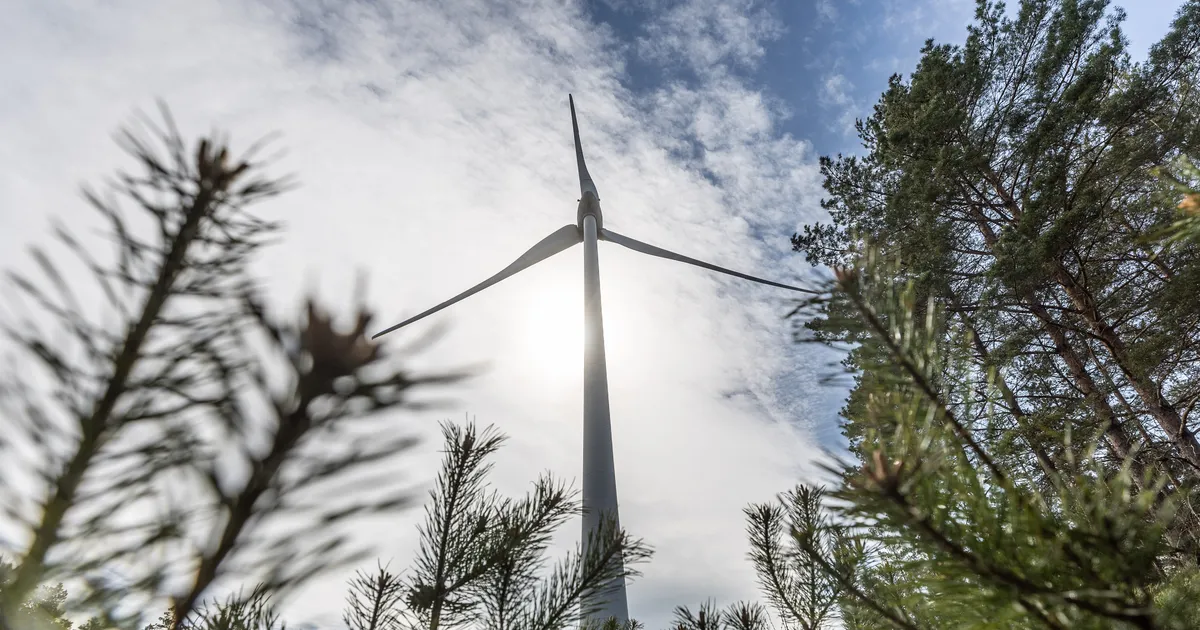 mille arvelt kerkivad riiklikult planeeritud tuulikud?