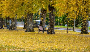 FOTO ⟩ Rebase jalutuskäik ebatavalises kohas tekitas elevust