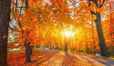 Jäär soovib lähedasi armastusega üllatada, Veevalajal on äriasjade ajamiseks soodne aeg