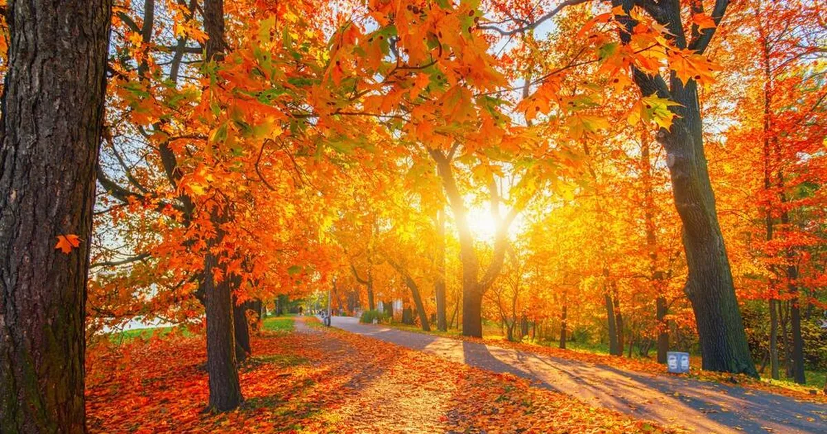 Jäär soovib lähedasi armastusega üllatada, Veevalajal on äriasjade ajamiseks soodne aeg