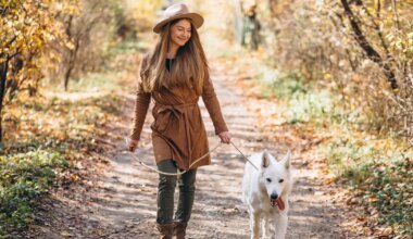 ÜLLATAVAD SEOSED ⟩ Miks on terves kehas ka tegelikult terve vaim?