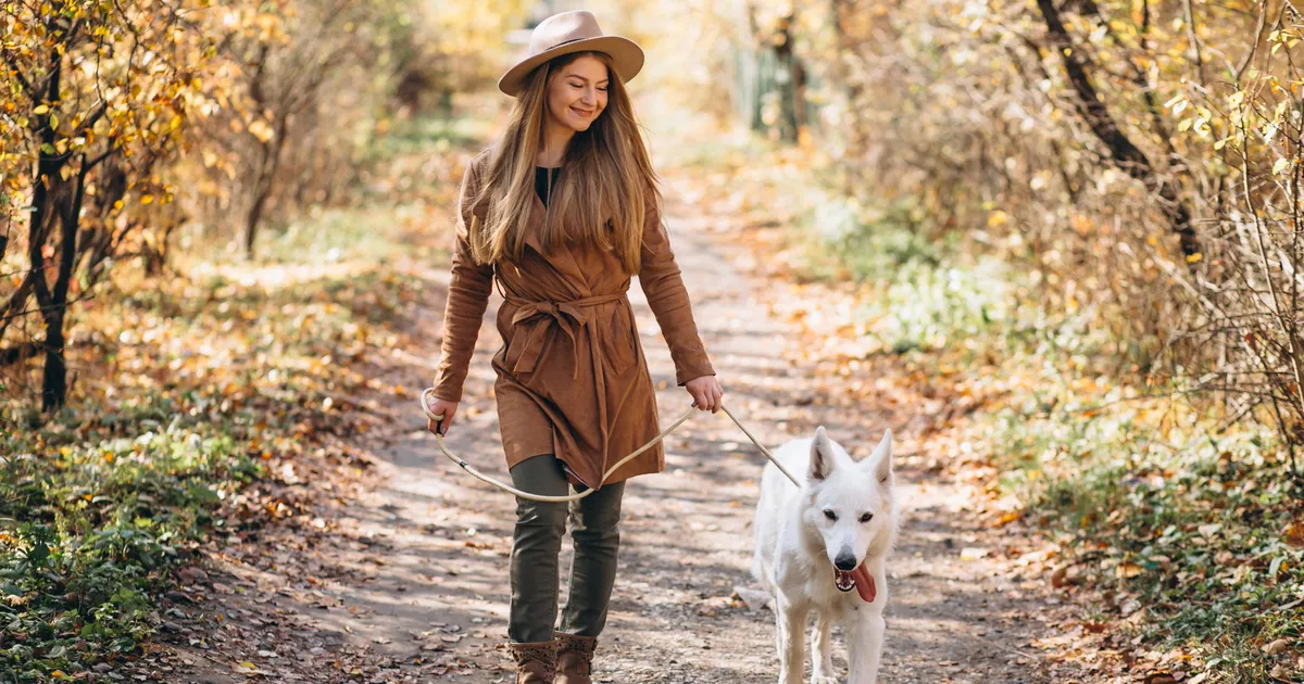 ÜLLATAVAD SEOSED ⟩ Miks on terves kehas ka tegelikult terve vaim?