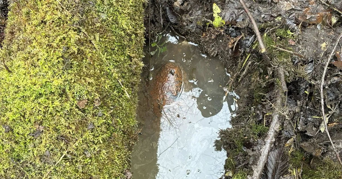 VIDEO JA FOTOD ⟩ Auveres tehti kahjutuks 250-kilogrammine lennukipomm