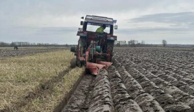 Kehtna künnimehed olid Lätis parimad