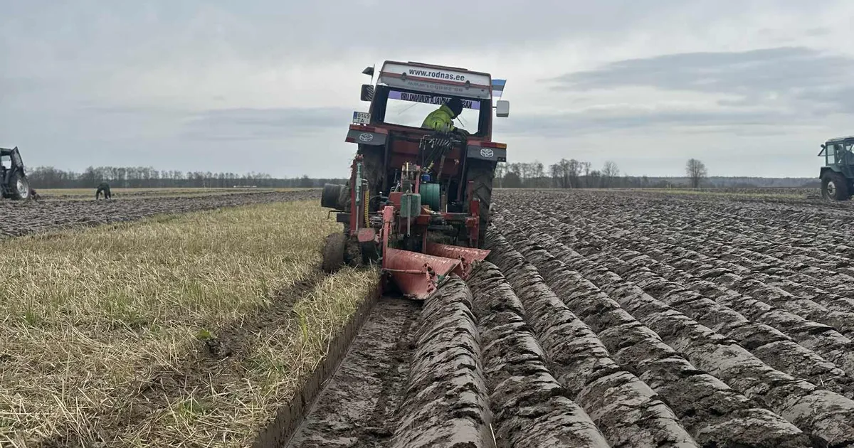 Kehtna künnimehed olid Lätis parimad