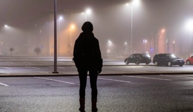 VEREST LÄBI IMBUNUD ⟩ Endine USA uudisteankur pussitas halloween’i ajal surnuks oma eaka ema