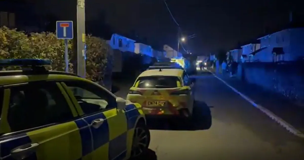 TRAGÖÖDIA WALESIS ⟩ Üheksakuune beebi suri koerarünnakus, sest ilutulestik ajas looma paanikasse