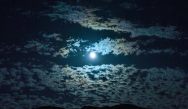 NÄDALAPROGNOOS ⟩ Täiskuuga võib kaasneda päris äkilisi sündmusi