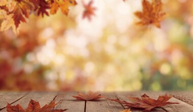 Neitsi on üsna närviline, Kaksikule on hea päev külaliste kutsumiseks