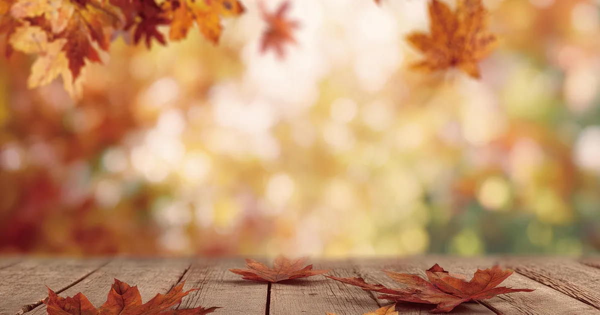 Neitsi on üsna närviline, Kaksikule on hea päev külaliste kutsumiseks