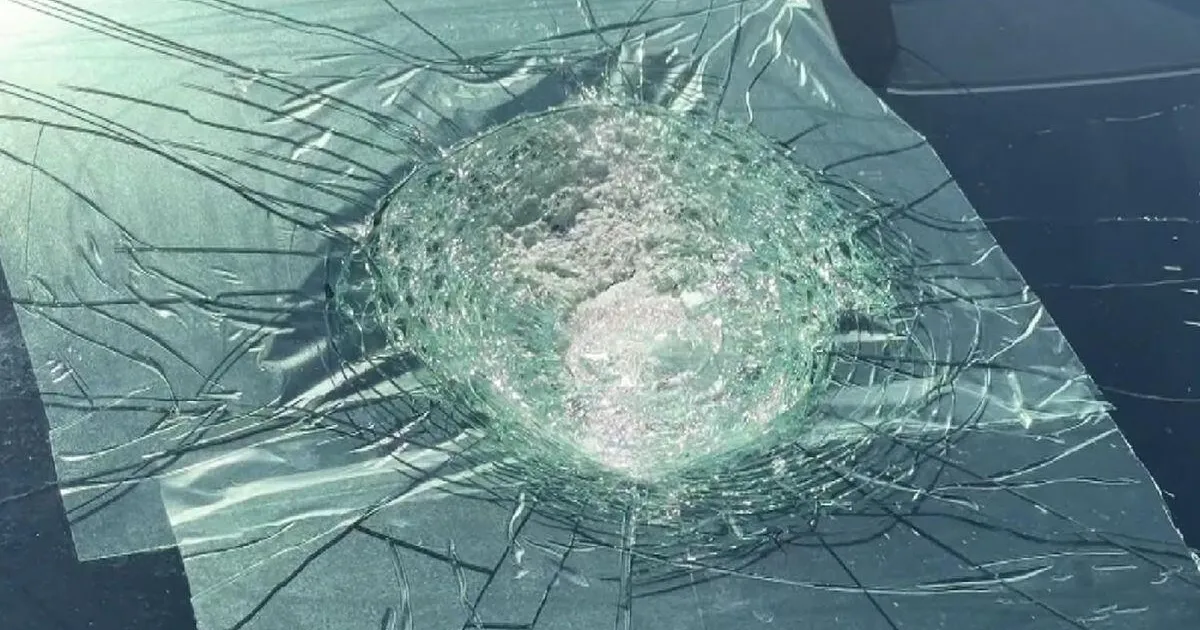 Esmakordne juhtum maailmas? Tundmatu lendkeha tabas Austraalias Teslat