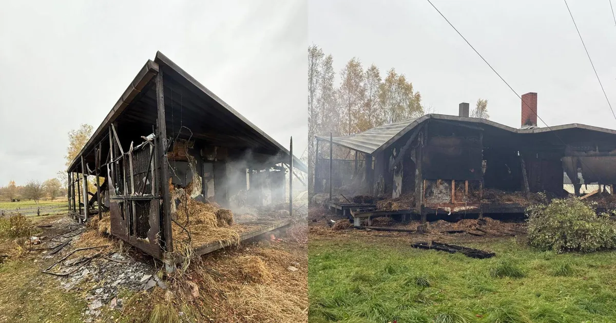 Põlengus kodust ilma jäänud pere langes mõnituste ohvriks
