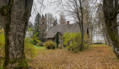 AK KIRJANDUSKOOL ⟩ Rein Sepp ja tema Üksiklane