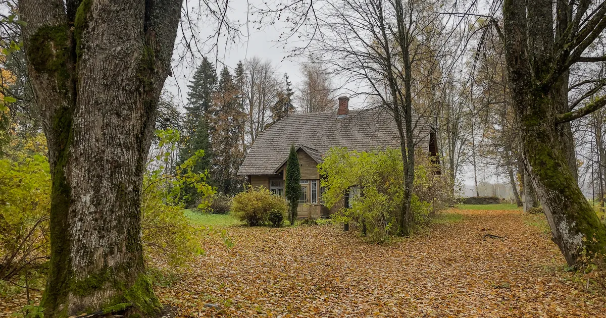 AK KIRJANDUSKOOL ⟩ Rein Sepp ja tema Üksiklane