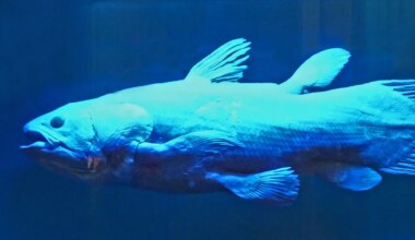 Saadi teada, kust pärinevad sõrmed – see võib mõnele inimesele kananaha ihule tuua