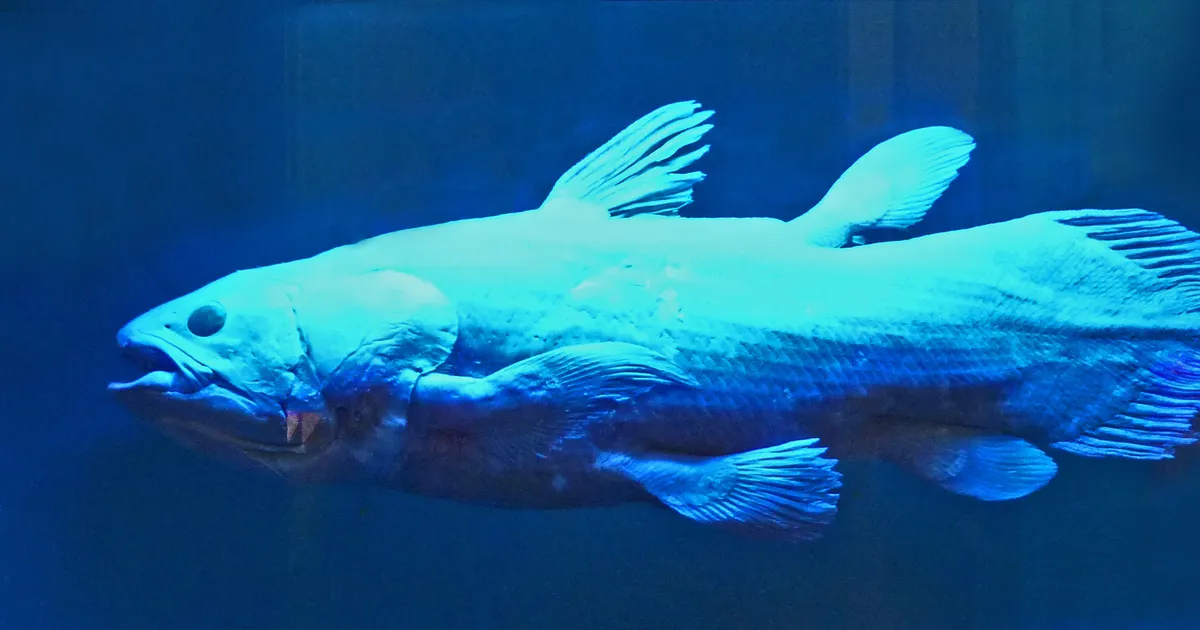 Saadi teada, kust pärinevad sõrmed – see võib mõnele inimesele kananaha ihule tuua