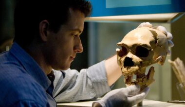 USKUMATU AVASTUS ⟩ Neandertallased võisid olla palju loomingulisemad ja kultuuriliselt aktiivsemad, kui seni arvatud