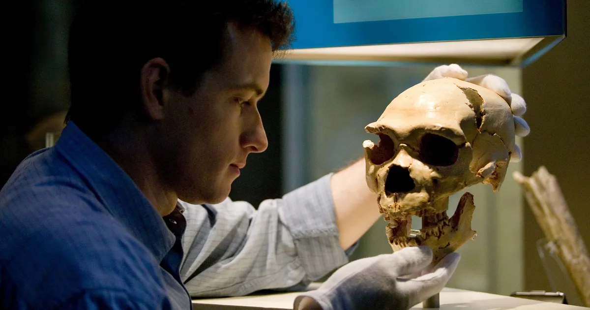 USKUMATU AVASTUS ⟩ Neandertallased võisid olla palju loomingulisemad ja kultuuriliselt aktiivsemad, kui seni arvatud