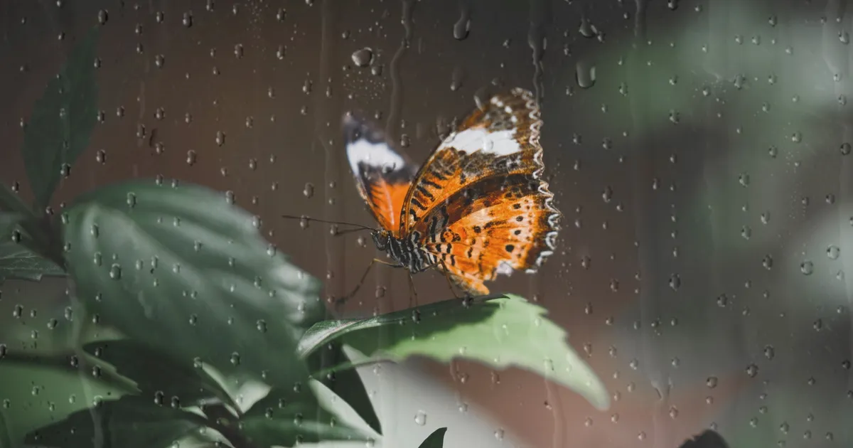 Veevalajal on tohutult tahtejõudu, Vähk on tundlik