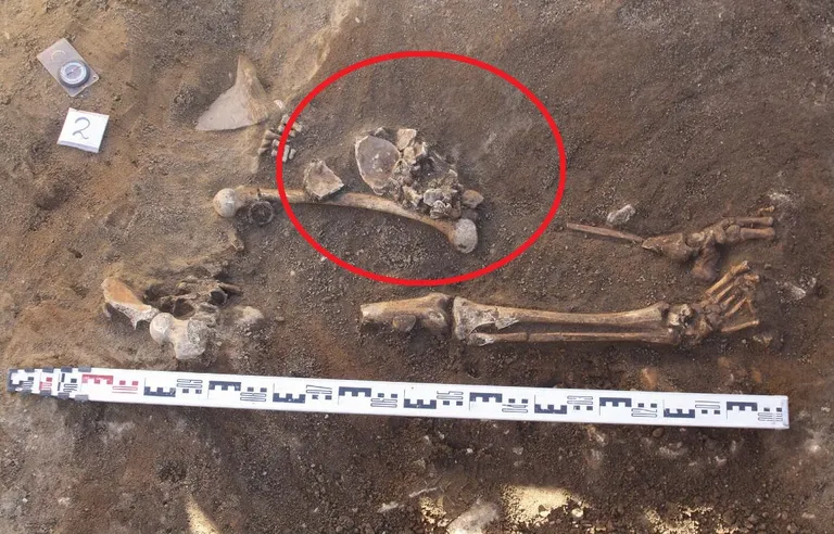 Hauast „Matus 2“ leitud hukatu maharaiutud pea oli asetatud vasakule reiele (kolju osad on näha punase ringi sees).