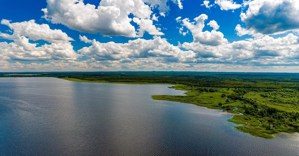 Piiratakse koha ja angerja püüdmise võimalusi