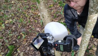 PILDID ⟩ Hobifotograaf pälvis Eesti Looduse fotovõistlusel hulga auhindu