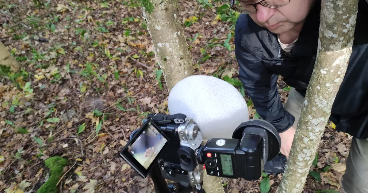 PILDID ⟩ Hobifotograaf pälvis Eesti Looduse fotovõistlusel hulga auhindu