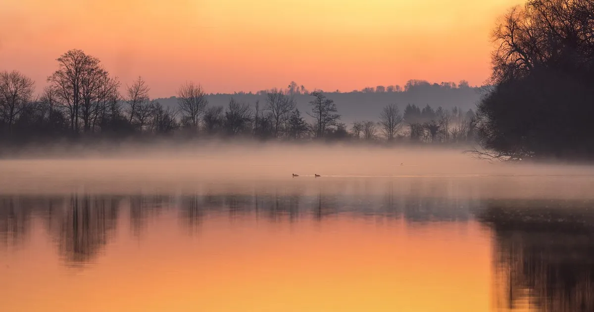 Sõnn satub keerukatesse olukordadesse, Veevalaja armusuhtes tõstab pead vajadus kallimat kontrollida