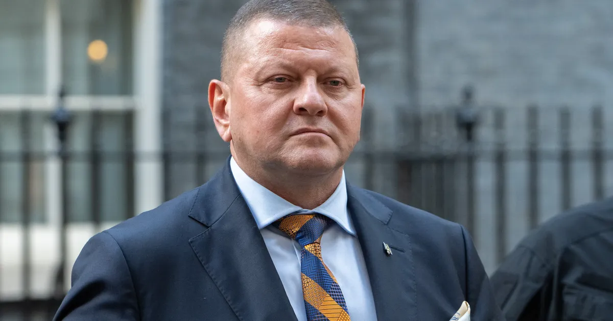 Zalužnõi jagas oma nägemust sõja õiglasest lõpust Ukrainas