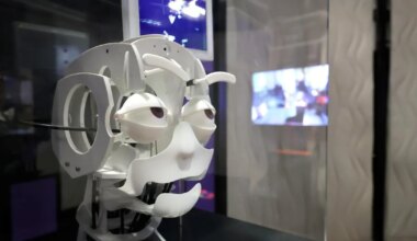 Sander Danil: esimesed mõrad tehisaru eufoorias