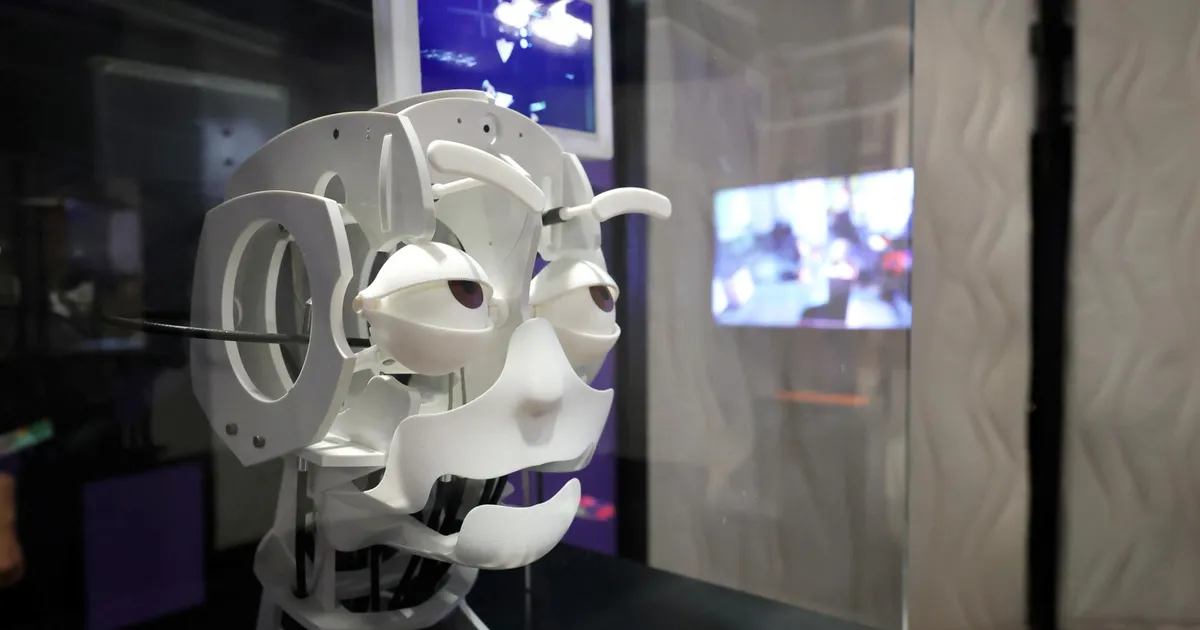 Sander Danil: esimesed mõrad tehisaru eufoorias