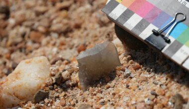 Inimeste eellased tegid tööriistu juba pea 3 miljonit aastat tagasi