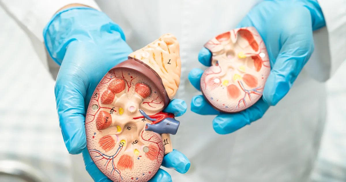 GLOBAALNE EPIDEEMIA ⟩ See hiiliv haigus on tõusnud maailma surmapõhjuste esikümnesse