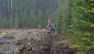 Taudiloomade matmisala aiaga piiramine ajab Metsküla elanikud ärevile