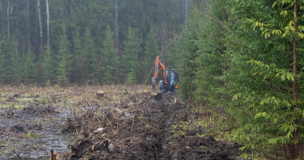 Taudiloomade matmisala aiaga piiramine ajab Metsküla elanikud ärevile