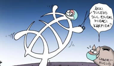 JUHTKIRI ⟩ Kärpekirves tervishoius - Postimees