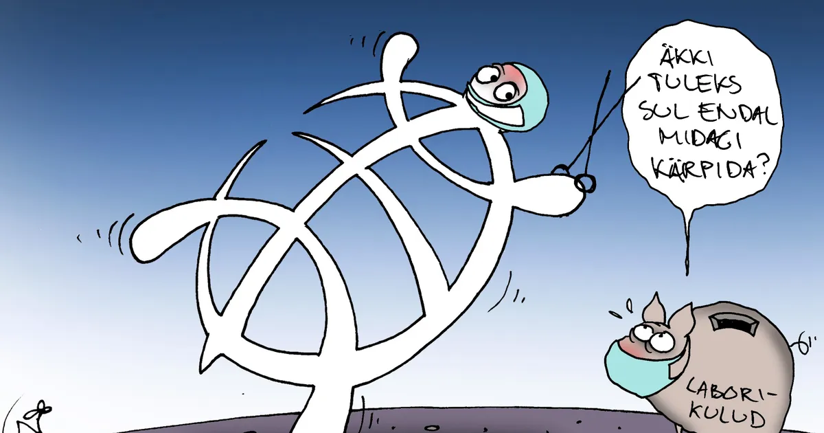 JUHTKIRI ⟩ Kärpekirves tervishoius - Postimees