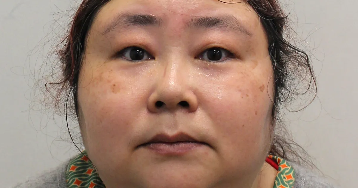 Londonis saadeti Hiina krüptokuningnanna viie miljardi naela pettuses vangi